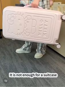 Ginza Travel X Sanrio Hello Kitty Travel Luggage 20” 26” Suitcase Bagasi Pink