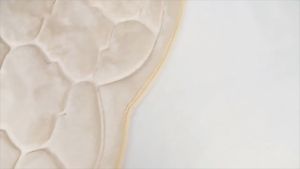 [SINGAPORE SELLER] Sejadah Gebu Embossed Antislip Kubah Viral / Viral Dome Antislip Embossed Foam Prayer Mat