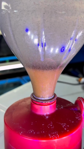 Deep Blue Brine Shrimp / Artemia Cysts (425g) - For Shrimp Hatcheries / Bohai Eggs