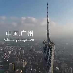 💗🙋‍♀️💗道圣康膜批发舒缓颈肩活络草本植物圣愈冷敷凝胶发热美容院膏