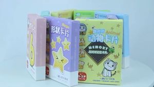 Early Learning Flash Card Kad Animal Shape Colour Body Number Alphabet Fruit Imbasan Budak Kids Education Card