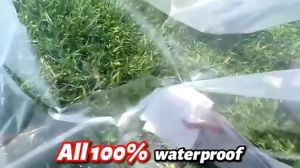 Transparent Trapal Waterproof Tarpaulin Garden Rainproof Garden Plant Outdoor Transparent Waterproof Cloth Makapal transparent Trapal waterproof oilcloth outdoor sunshade tarpaulin with eyelets