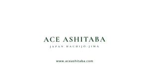 Ace Ashitaba Tea (24 sachets) | Health Drink Chalcone Immunity Anti-Aging Blood Pressure Sleep