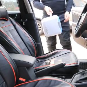 🌸Local Seller🌸 4L Mini Car Refrigerator - Cold & Warm Portable Small Fridge 温冷暖车载冰箱