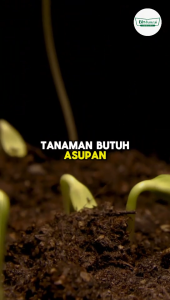 Vit-O Plus Probiotik Akar 250ml Bio Banzai vitamin organik alami plus probiotik akar nutrisi lengkap segala tanaman