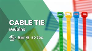 BANDEX เคเบิ้ลไทร์ สีเขียว ฟ้า เหลือง แดง ขนาด 4-6 นิ้ว สายรัดจับเก็บอเนกประสงค์ 1ถุง/100เส้น ของแท้