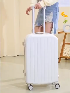 Safari Luggage – USB Charging & Cup Holder Trolley with 360° Wheels & Side Hook 20-28 Inch