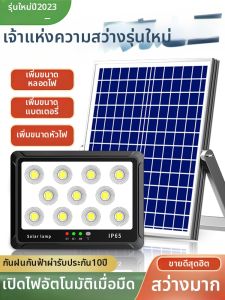 BELAN | Induction Waterproof Outdoor Courtyard Light