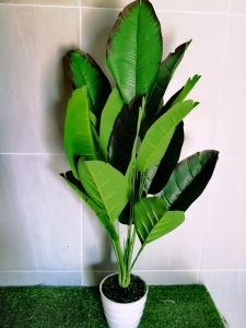 Pokok Viral | Premium Pokok Hiasan Viral | Artificial Plants |  | Banana Trees | monstera