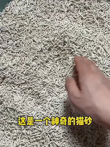 [SG Stock] Natural Tofu Cat Litter 1.9kg Cat Litter for Cats Flushable Dust Free Quick Clumping Effective Odor Control Pet Litter