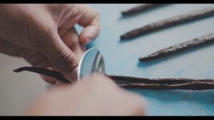 25gr Grade A Indonesian Vanilla Bean Pods