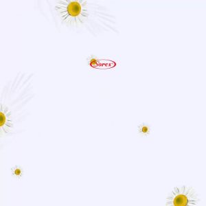 SOREX 31186 JOYFUL - CD CELANA DALAM WANITA BAHAN SEAMLESS ANTI NYEPLAK / NJIPLAK