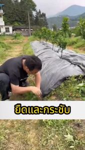 หมุดยึดผ้าคลุมวัชพืช แพคละ ประมาณ 100 ชิ้น หมุดปักผ้าคลุมดิน เหล็กเสียบ เหล็กปักดิน หมุดปักดิน ขนาด 5 นิ้ว และ 6 นิ้ว