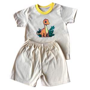 Terno tshirt shorts in plain colors with cute and adorable prints or characters for kids boys