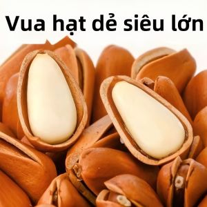 Extra Large Shelled Pine Seeds 950g