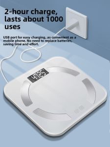 MONLEYTA | Precision Small Electronic Scale with Charging Function for Body Fat Measurement