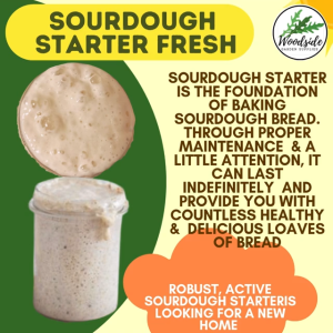 Sourdough Starter Super Active Fresh/Live (Not Powder)Natural Yeast 10yr old Ready to use Ship from Sg