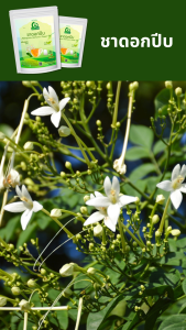 ชาดอกปีบ ตราไร่กฤติยา (Millingtonia Hortensis Flower Tea)