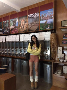 New Wide Waist Slim Fit Knitted Short Pants Womens Outdoor Wear Shiny Thread Twist Design Elastic Waist Casual Trousers