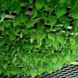 2.4m Artificial Grape Leaf Watermelon Leaf Ivy Leaf Privacy Fence Screen Windshield One sided Garden Shielding Roll UV Fading Protection Privacy Wall Landscape Grape Watermelon Begonia Evergreen Leaf