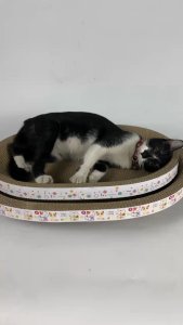 Bàn cào móng cho mèo ổ nằm cho mèo hình elip size 53cm