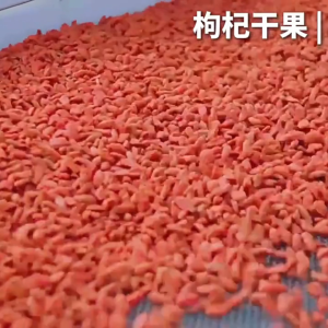 เก๋ากี๋ โกจิเบอร์รี่ ก๋ากี้อบแห้งเม็ดใหญ่ โกจิเบอรี่อบแห้ง ผลไม้ัอบแห้ง อาหาร  500 กรัม / 250 กรัม / 100 กรัม (พร้อมทาน)