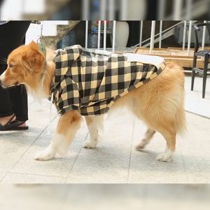 Fashionable Two-Legged Plaid Sweatshirt for Small Medium and Large Dogs - Christmas Style