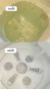 liby ผงล้างเครื่องซักผ้า ทำความสะอาดเครื่องซักผ้า ล้างถังซักเครื่องซักผ้าต้านเชื้อแบคทีเรีย ผงขจัดตะกรัน washing tub cleaner ผงล้างถังซักผ้า ที่ล้างเครื่องซักผ้า ล้างเครื่องซักผ้า แป้งทำความสะอาดเครื่องซักผ้า น้ำยาล้างถังชักผ้า น้ำยาล้างเครื่องซักผ้า