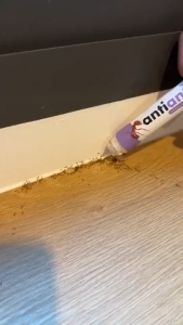 COD เจลกำจัดมด ANTIANT เหยื่อกำจัดมด เจลล่อมด หยดเดียวตายยกรัง