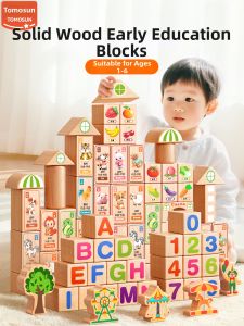 TONGMUXING | Educational Building Blocks Puzzle for 3-6 Year Olds