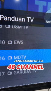 Antena Digital Elston Type ES-40 High Signal Indoor |Antena Kupu-Kupu