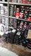 MPO STORE