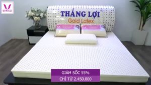NỆM CAO SU GOLD LATEX THẮNG LỢI - Tặng 7 món quà - Thiết kế hiện đại với foam cao cấp và cao su Gold Latex độc quyền bảo hành 15 năm giao hàng hỏa tốc