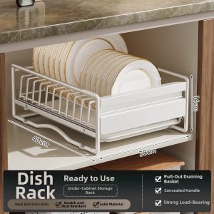 HANYUXUAN | Pull-out Dish Drain Rack