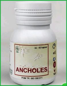 Obat Herbal Ancholes ( Obat Anti Kolesterol )