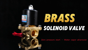 2-Way Brass Solenoid Valve 1/4" to 1" DC12V AC220V Dual Voltage for Water Air Gas Oil Automatic Flow