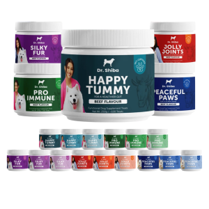 Dr Shiba Dog Supplement Treats Happy Tummy Pro Immune Silky Fur Peaceful Paws Jolly Joints Beef Duck Salmon 100pcs 250g