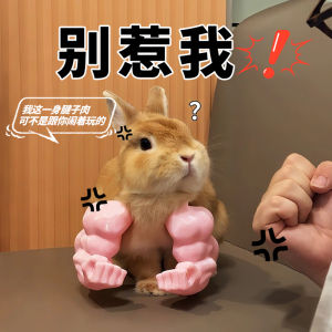3D Printed Interactive Rabbit Muscle Arm Hanging Necklace Punching Bag Pet Toy VOA Creative Internet Famous Virtual Reality Device