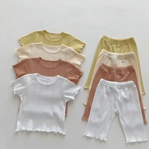 LNR Shop Setelan Anak Perempuan Baju Rumahan Lengan Celana Pendek Cocok untuk Musim Panas Bahan Adem dan Halus Atasan Polos Warna Cantik Set Santai Piyama Baju Tidur Pajamas