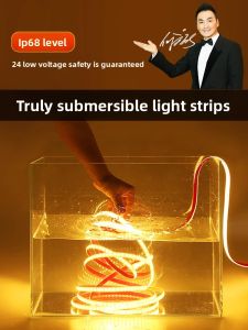 PAIMIJI | Waterproof Low Voltage LED Strip Light 24V