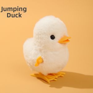 Walking Wind-Up Plush Chicken Toy