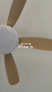 Jiditech 62cm Ceiling Fan with Light LED Fan Remote Control Dimmable Fan with Timer for Bedroom Living Room