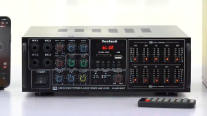 2000W Power Amplifier The home music amplifier includes FM radio support supports multiple audio sources USB and SD card