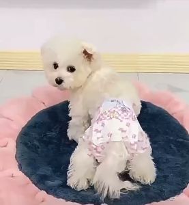 Popok Untuk Anjing Kucing Jantan Betina Pampers Diaper Anjing Kucing Peliharaan