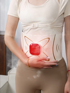 Full Combustion Mesogun ems Abdominal Fitness Instrument Waist Abdominal Hot Compress Microcurrent Belt Exercise Pulse Waist Massager