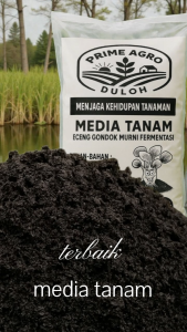 MEDIA TANAM ORGANIK PREMIUM Humus Eceng Gondok Fermentasi Trichoderma & Jakaba Super