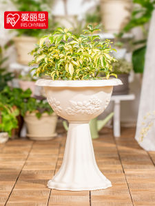 IRIS Iris Melamine Wine Glass Alice Resin Petunia Hybrida Ji Xiaoju Garden Floor Bonsai Flowerpot