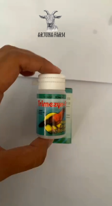 Trimezyn B Plus 10 Kaplet Burung Medion