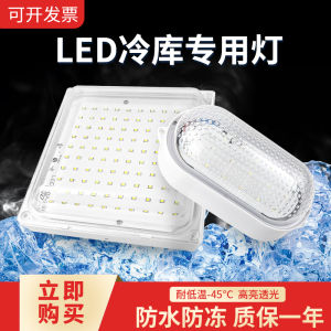 Waterproof Moisture-Resistant Cold-Resistant Light