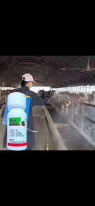 โรงเลี้ยงสัตว์ไม่มียุงและแมลงวันอีกต่อไป ยาไล่ยุงคอกวัว ซื้อ1แถม1 กำจัดแมลงวัน ยุง เห็บ มด เหา หมัด แมลง อัตราการฆ่า100% ยาไล่แมลงในวัว ฉีดในคอกสัตว์ได้ ไม่เป็นอันตรายต่อสัตว์เลี้ยงและคน ยาฉีดยุงคอกวัว น้ำยาพ่นควันกำจัดยุง ยาไล่ยุงคอกวัว